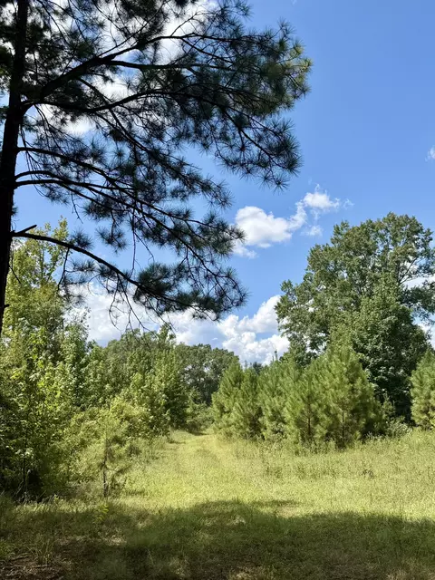 0 Asseff Rd, Mansfield, LA 71052 photo 3