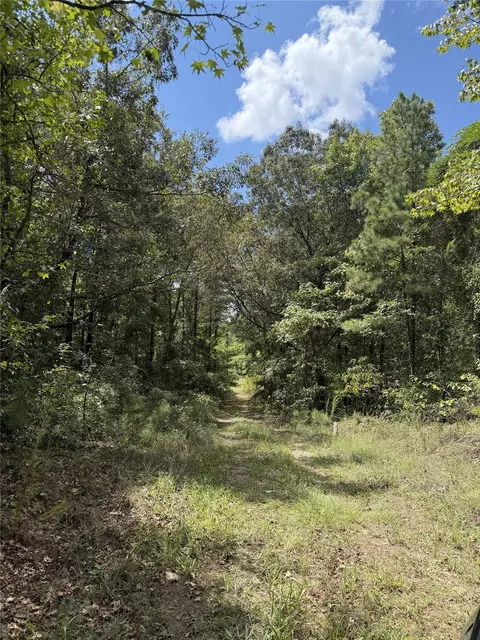 0 Asseff Rd, Mansfield, LA 71052 photo 2
