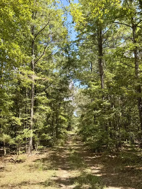 0 Asseff Rd, Mansfield, LA 71052 photo 8