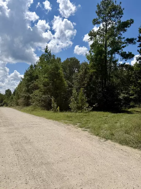 0 Asseff Rd, Mansfield, LA 71052 photo 9
