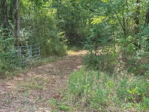 1845 Pine Tree Road, Longview, TX 75604 photo 3