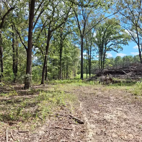 1068 Goathill Rd, Elm Grove, LA 71051