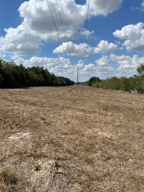 tbd 27 Acres Fm 642, Purdon, TX 76679 photo 33