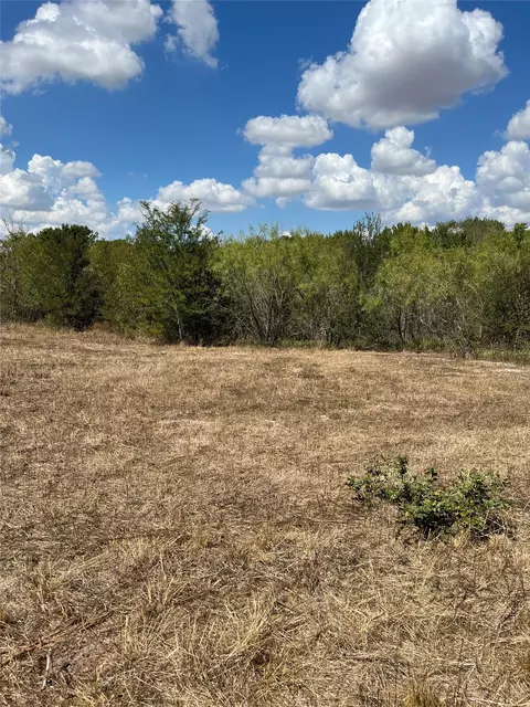 tbd 27 Acres Fm 642, Purdon, TX 76679 photo 31