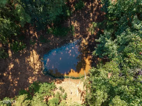 View/Area - 2054 La 2 Hwy, Plain Dealing, LA 71064 photo 6 of 6
