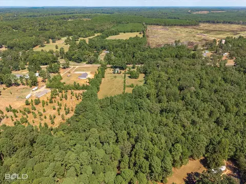 View/Area - 2054 La 2 Hwy, Plain Dealing, LA 71064 photo 5 of 6