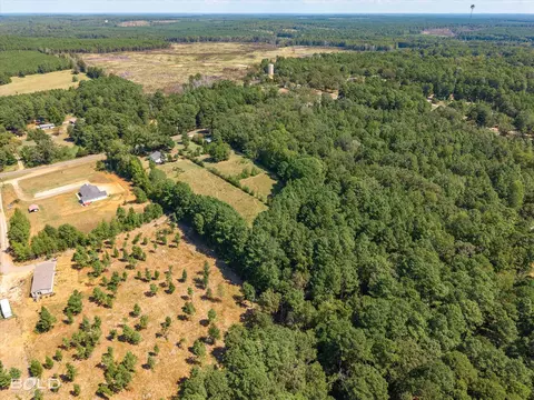 View/Area - 2054 La 2 Hwy, Plain Dealing, LA 71064 photo 4 of 6
