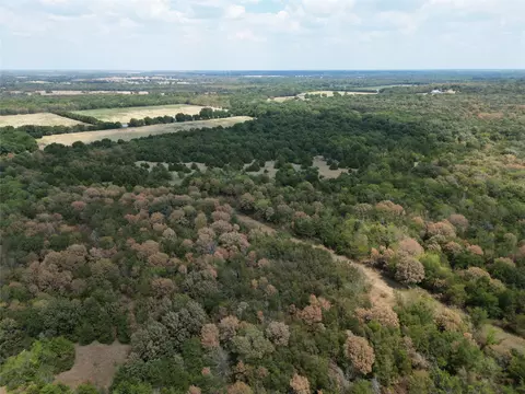 85 Ac County Road 1019, Celeste, TX 75423 photo 6