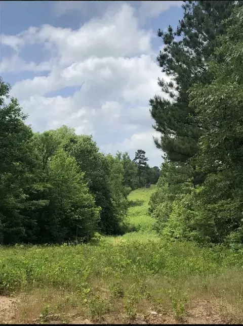 tbd Aster Rd, Gilmer, TX 75644 photo 2