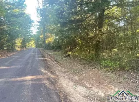 tbd Aster Rd, Gilmer, TX 75644 photo 4