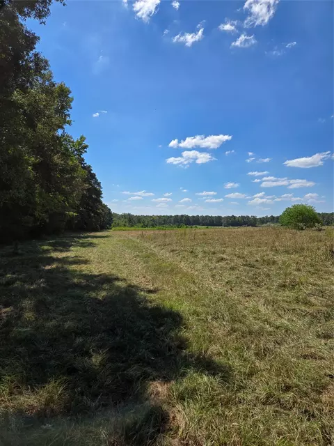 0 Highway 346, Stonewall, LA 71052 photo 6