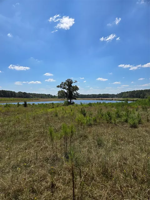 0 Highway 346, Stonewall, LA 71052 photo 7