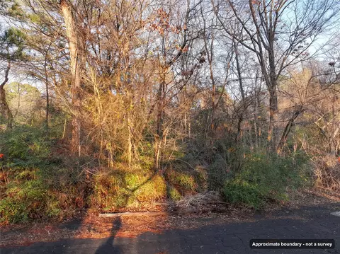 144 Circle Dr, Quitman, TX 75783 photo 13