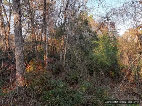 144 Circle Dr, Quitman, TX 75783 photo 15