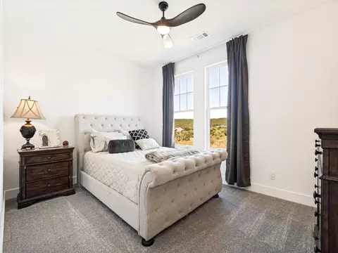 Bedroom - 117 Bald Eagle Ct, Graford, TX 76449 photo 3 of 3