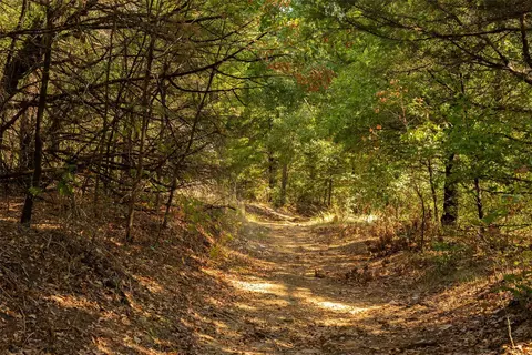 4 Acres Tiffany Ln, Whitesboro, TX 76273