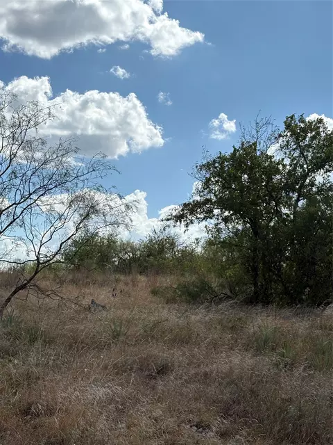 19 Parks Medow Dr, Gustine, TX 76455 photo 4