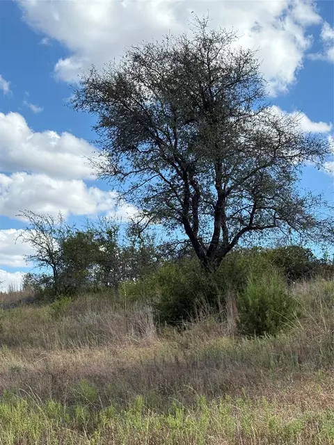 19 Parks Medow Dr, Gustine, TX 76455 photo 2