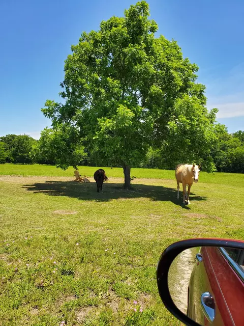 7263 Hwy 276, Point, TX 75472 photo 27