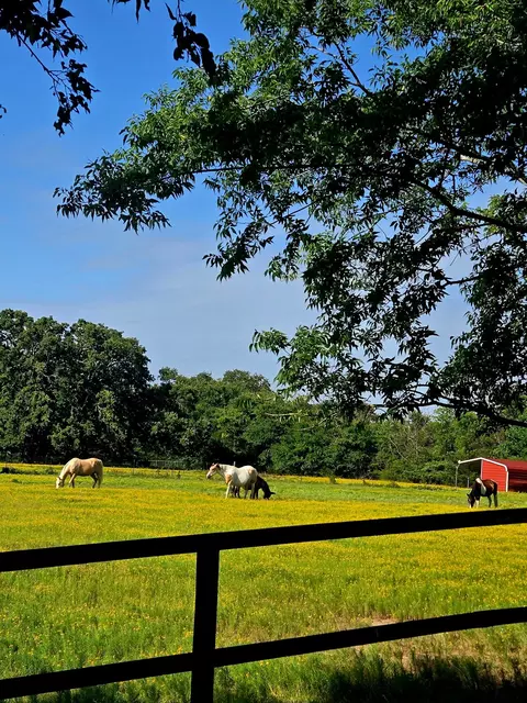 7263 Hwy 276, Point, TX 75472 photo 28