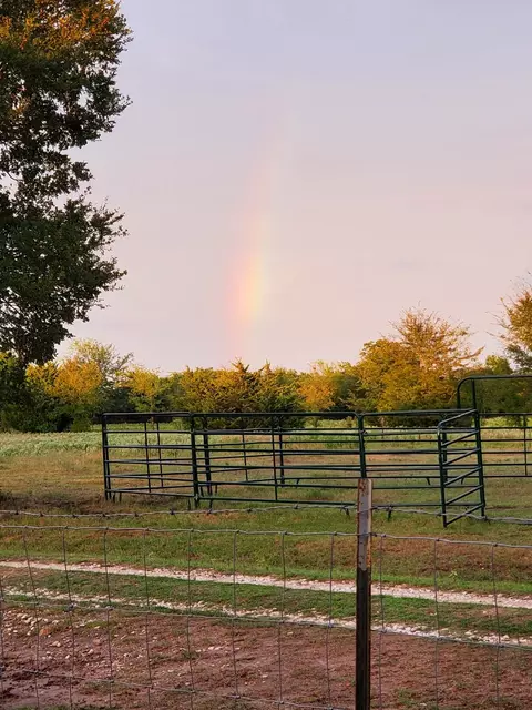 7263 Hwy 276, Point, TX 75472 photo 31
