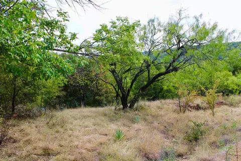 tbd Arts Way, Gordon, TX 76453 photo 11