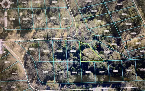 lot152 Shady Trl, Trinidad, TX 75163