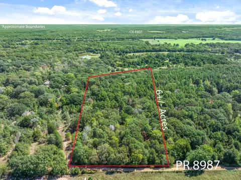tbd County Road 8987, Ben Wheeler, TX 75754