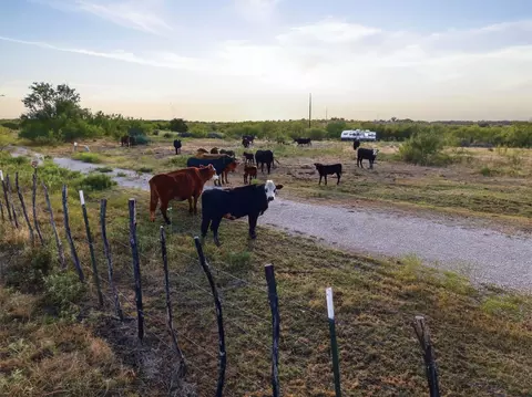 tbd Story Rd, Perrin, TX 76458 photo 15