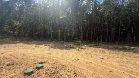 11150 Highway 3, Plain Dealing, LA 71064 photo 7