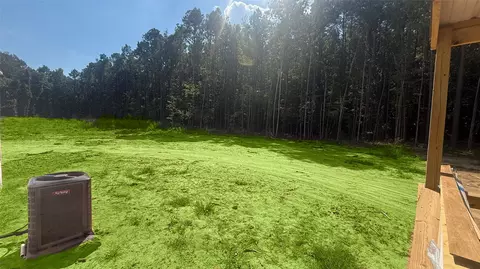 11150 Highway 3, Plain Dealing, LA 71064 photo 6