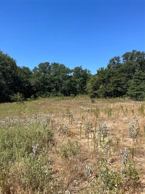 lot42 Antrim Ct, Poolville, TX 76487