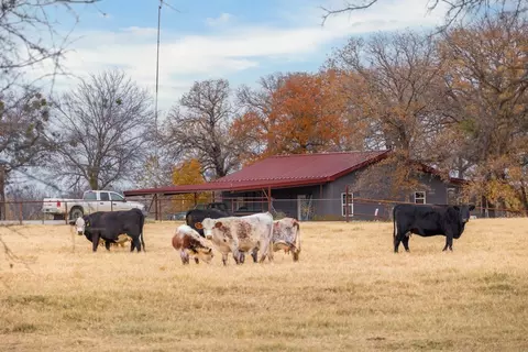 355 County Road 144, Comanche, TX 76442 photo 19