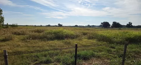 0000 Fm 901, Sadler, TX 76264