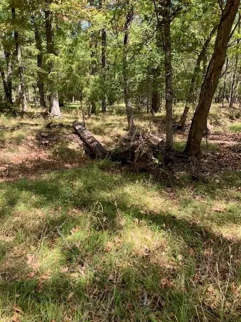 00 Cr 32220, Sumner, TX 75486