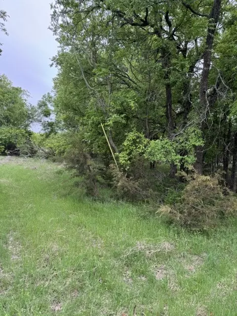 17082 Faircrest Dr, Whitney, TX 76692