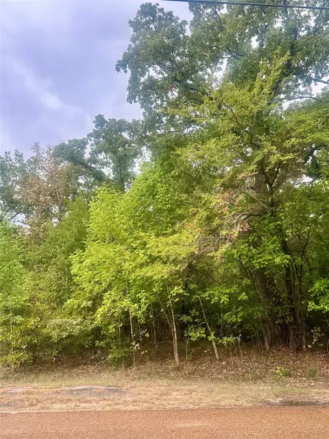 0 Alamo Rd, Log Cabin, TX 75148