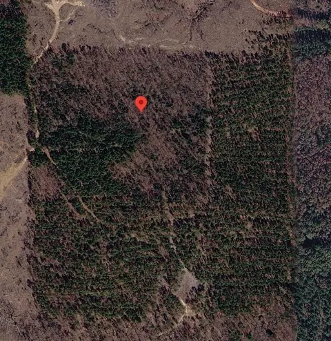 Tract 3 County Road 3769, Queen City, TX 75572
