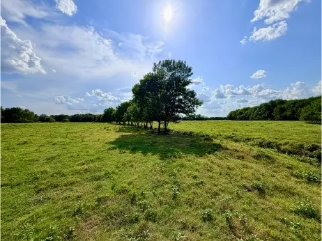 tbd Cr 2145, Cooper, TX 75432