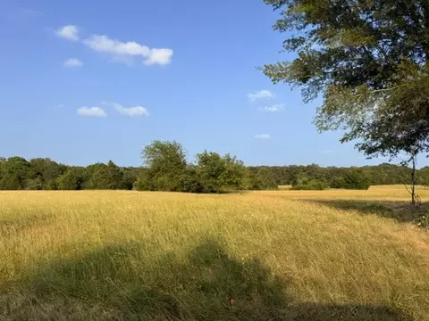 tbd Cr 2501, Eustace, TX 75124 photo 2