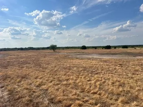 4092 Cr 192, Bangs, TX 76823 photo 8
