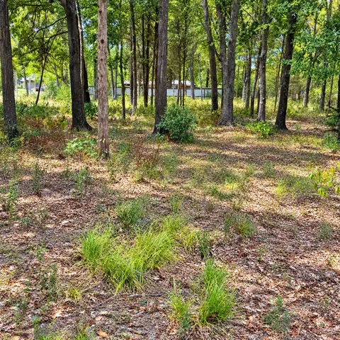 0000 Tbd W Moss St, Malakoff, TX 75148