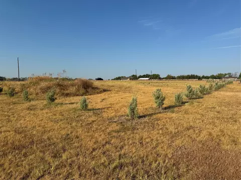 115 County Road 4524 St, Whitewright, TX 75491