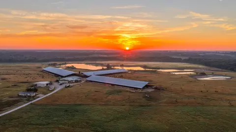 925 County Road 2341, Sulphur Springs, TX 75482