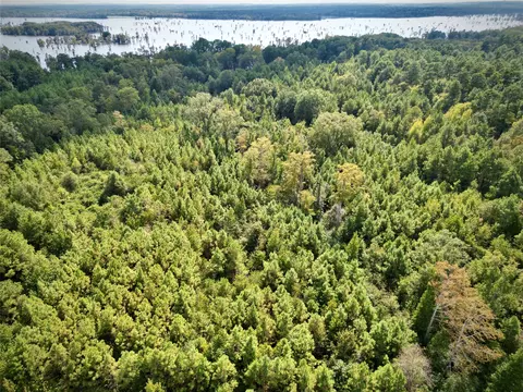 0 Rudd Rd, Ida, LA 71044 photo 4