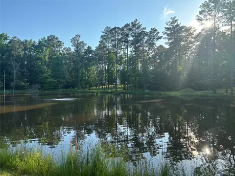 View/Area - 2516 Old Plain Dealing Rd, Plain Dealing, LA 71064 photo 1 of 1