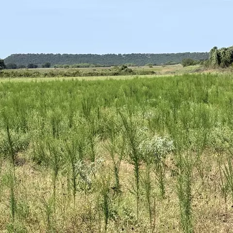 tbd Keller, Mineral Wells, TX 76067