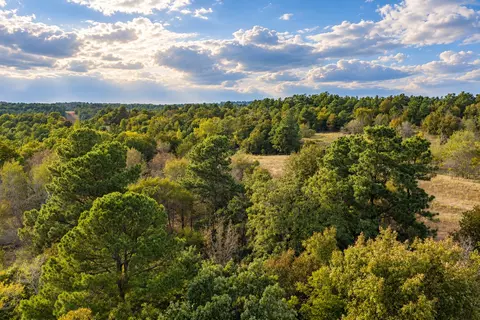 00 Off Of County Road 448, Palestine, TX 75803