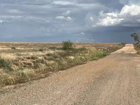 tbd County Rd 412, Roby, TX 79543