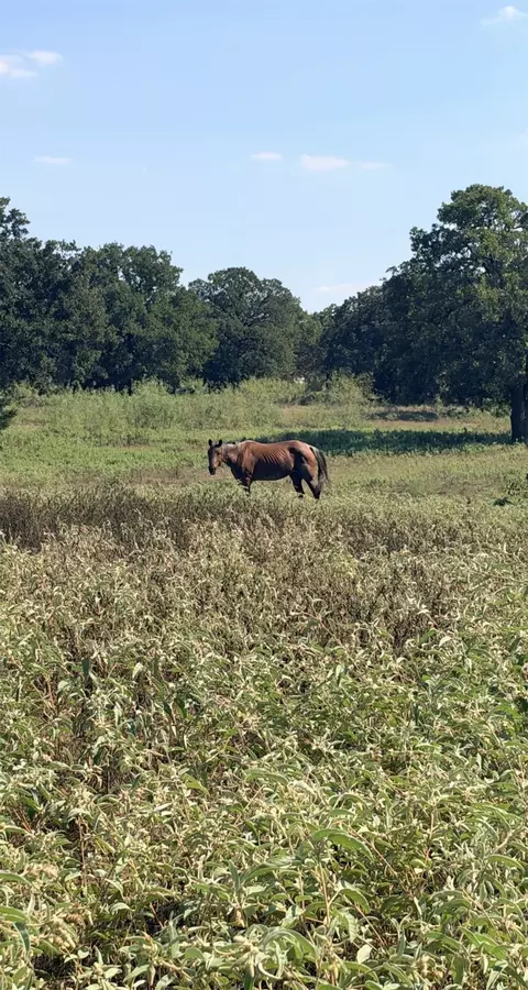 5908 County Road 608, Burleson, TX 76028